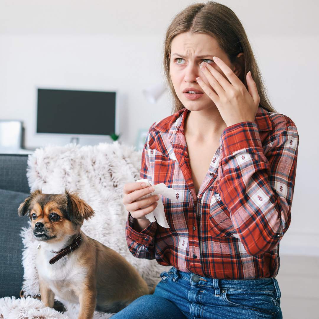how-salt-therapy-can-help-if-you-are-allergic-to-your-dog